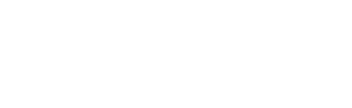 BRAVOLesson